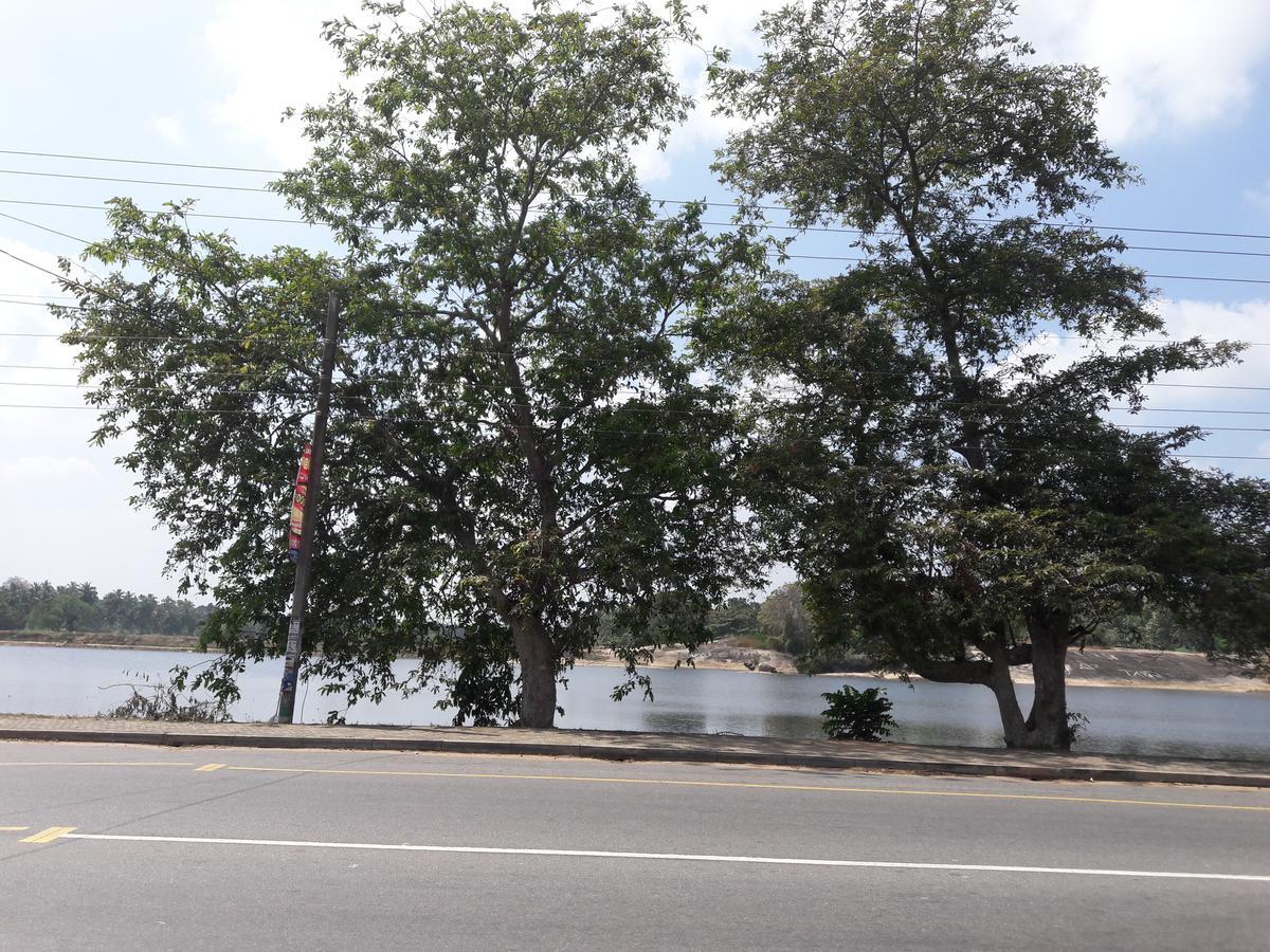 Saragama Holiday Resort Kurunegala Bagian luar foto